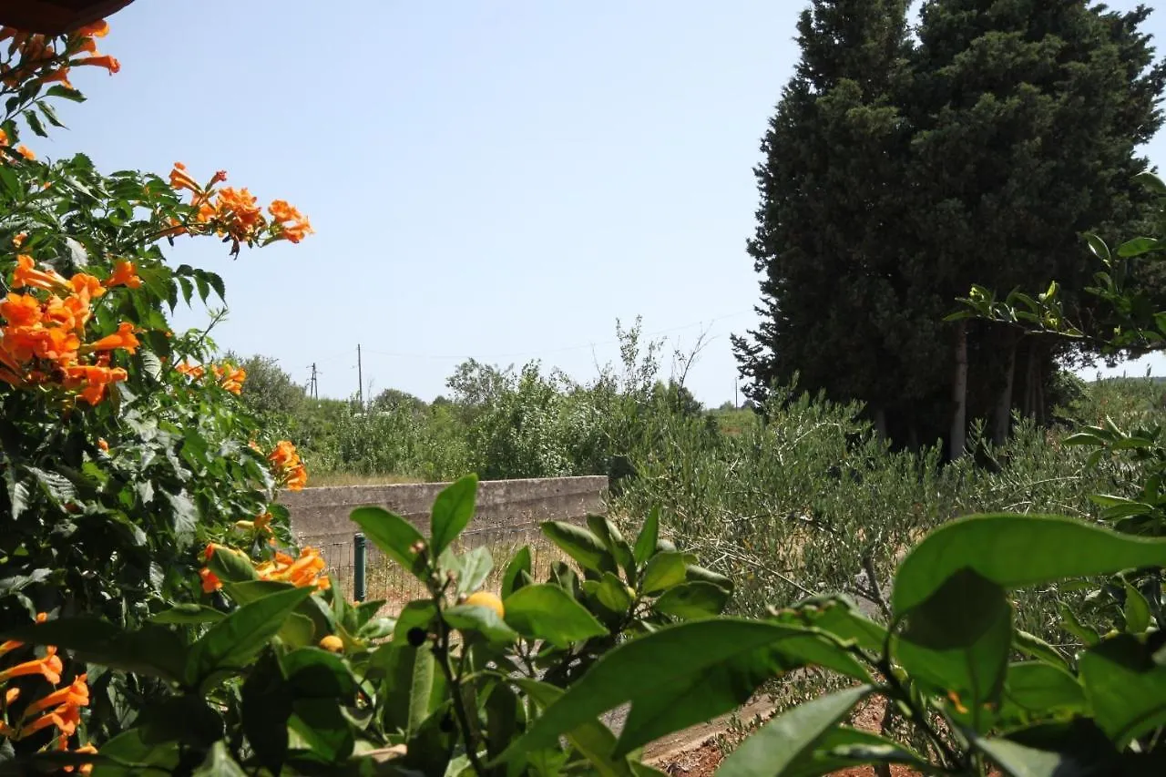 Apartments And Rooms With Parking Space Susica, Ugljan - 8265 קרואטיה